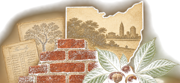 Brick Walls & Buckeyes emblem